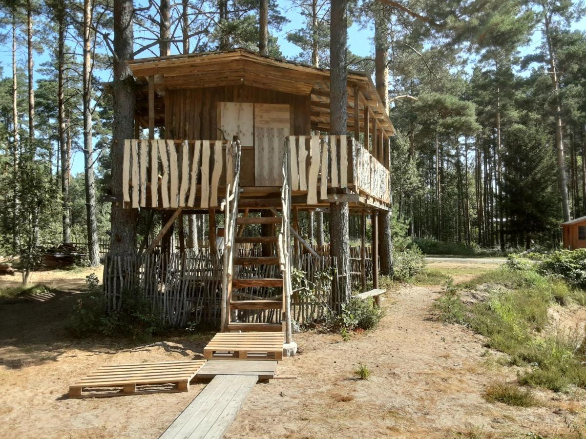 Elulong Camping Lohusuu Luaran gambar