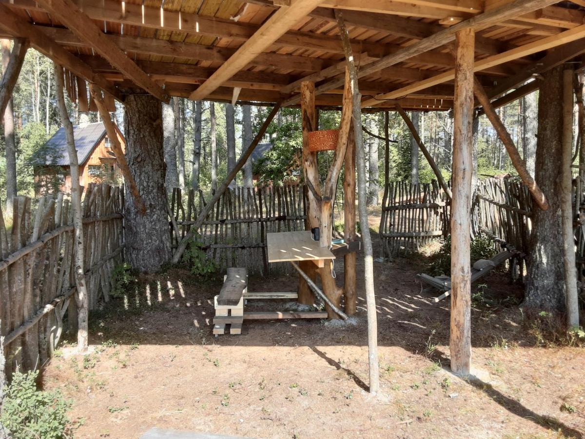 Elulong Camping Lohusuu Luaran gambar