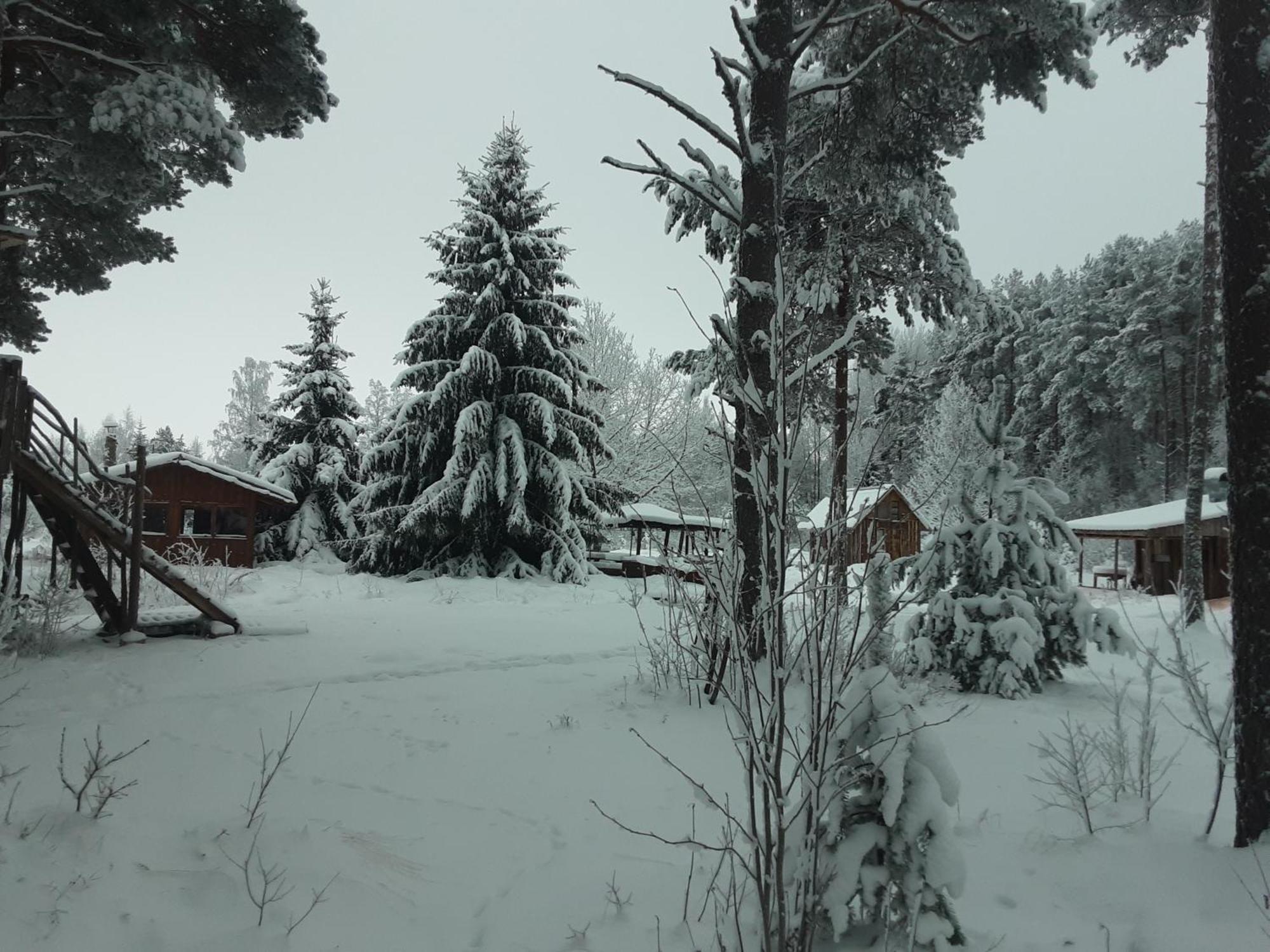 Elulong Camping Lohusuu Luaran gambar