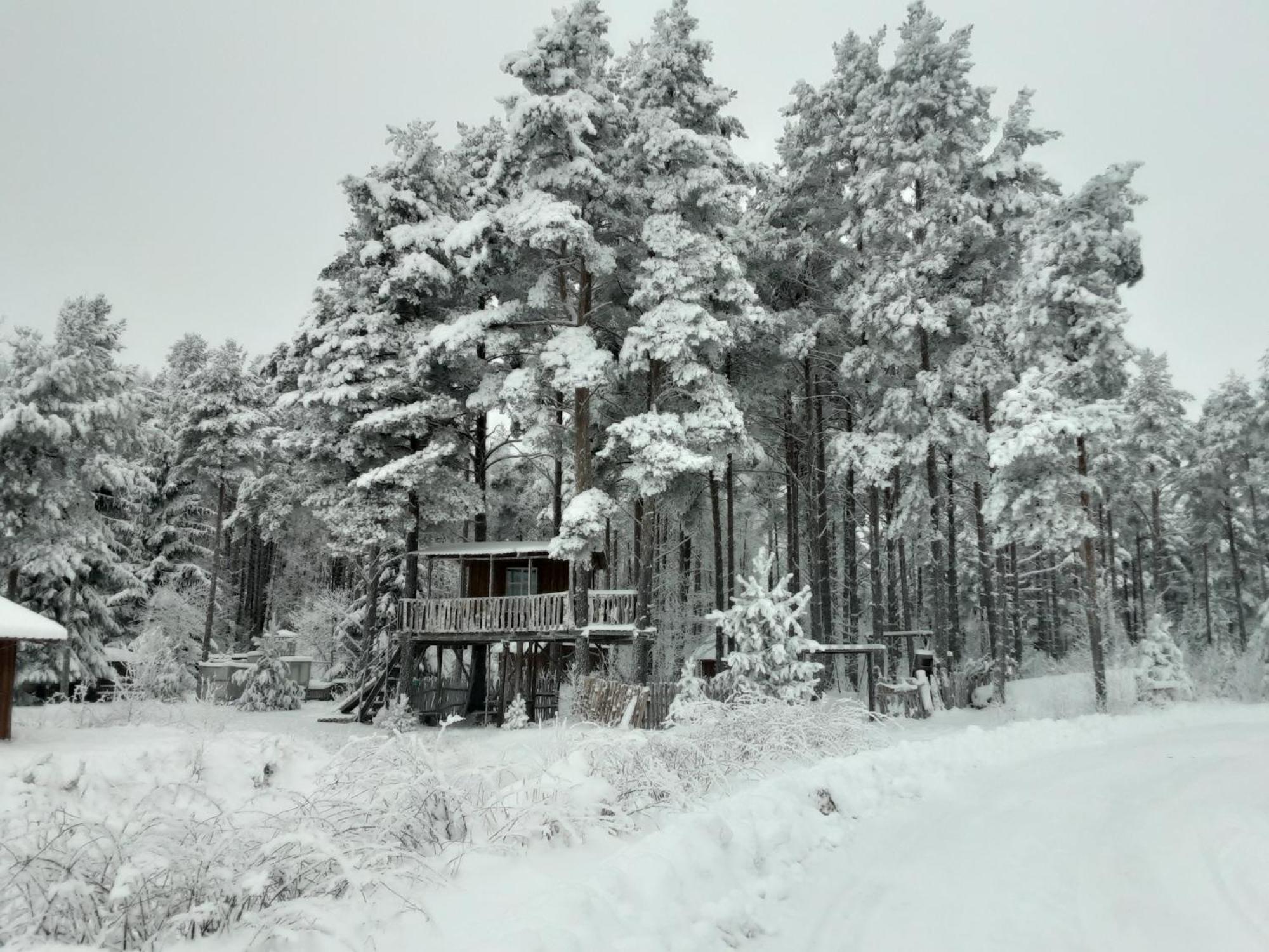 Elulong Camping Lohusuu Luaran gambar