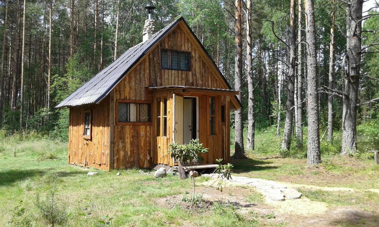 Elulong Camping Lohusuu Luaran gambar